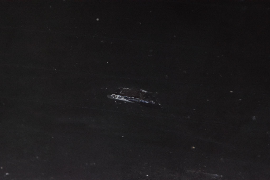 Стекло крышки багажника задний  задняя opel frontera b рестайлинг  01-04 Доставка