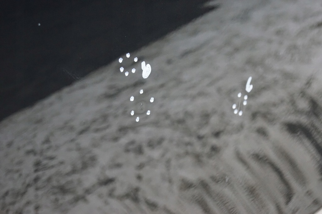 фото №9, Дверь левый задняя audi a4 b8 sedan