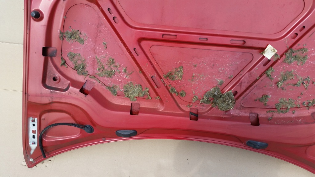 фото №16, Vw golf vi 08-12 капот передняя la3s