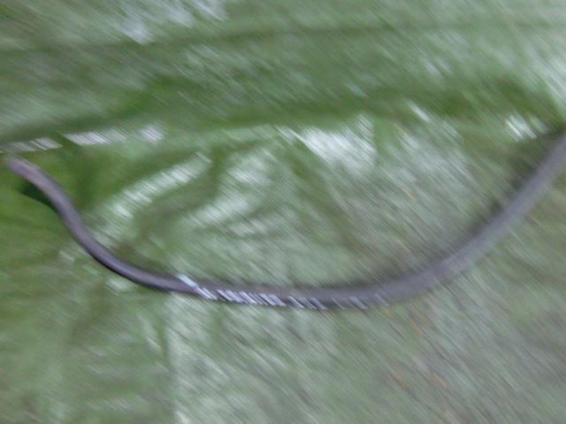 фото №3, Wąż трубка wody mazda tribute 2.0