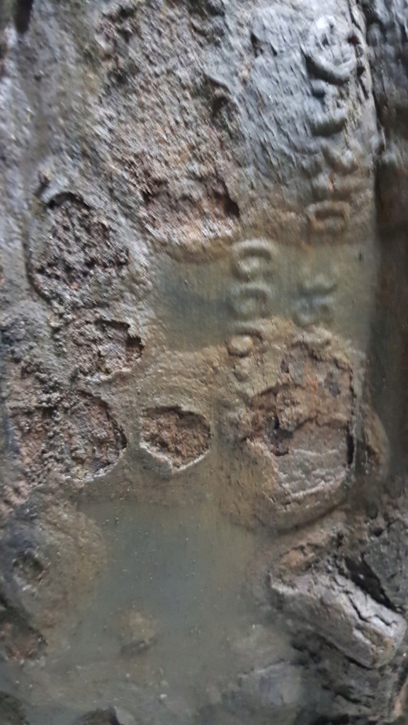 Купить Mercedes w203 2.2 cdi 150km дифференциал дифференциал мост механическая коробка передач