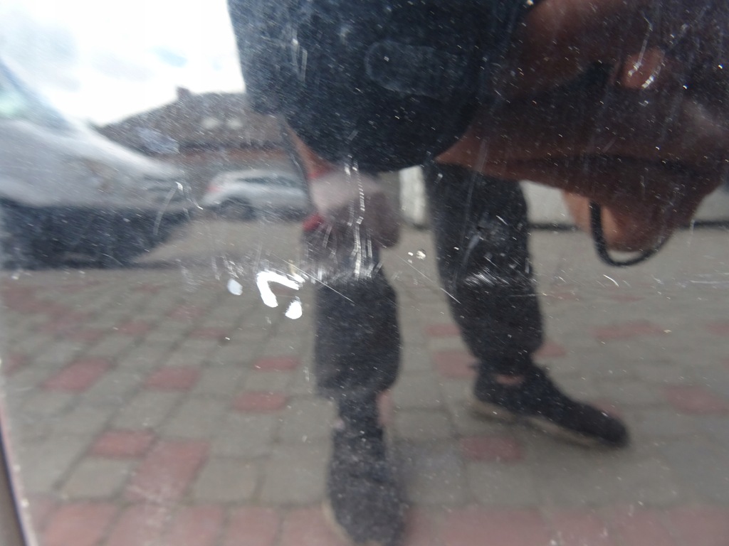 фото №3, Renault scenic iii двері ліва задня