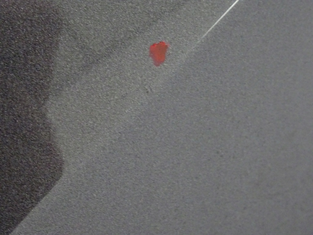 фото №6, Toyota c-hr chr дверь левая задняя полный 2016-