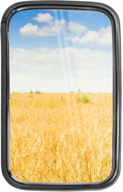 фото №2, Зеркало зеркало боковой na трубка nissan cabstar renault maxity 287x177 mm