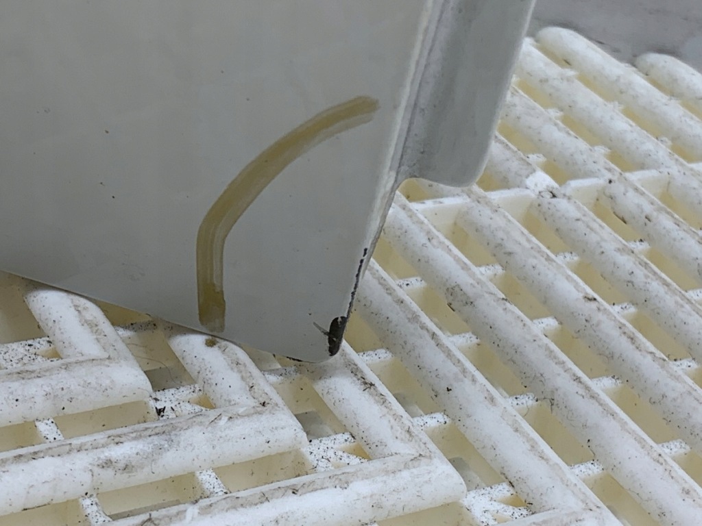 фото №5, Дверь правый задняя citroen c1 хэтчбек 05-14 белый lipizan