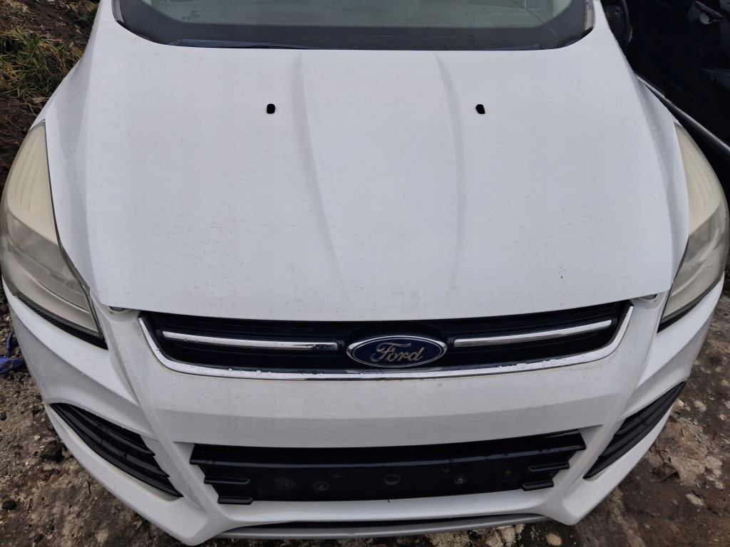 фото №1, Ford kuga mk2 2013-2016 капот колір d5