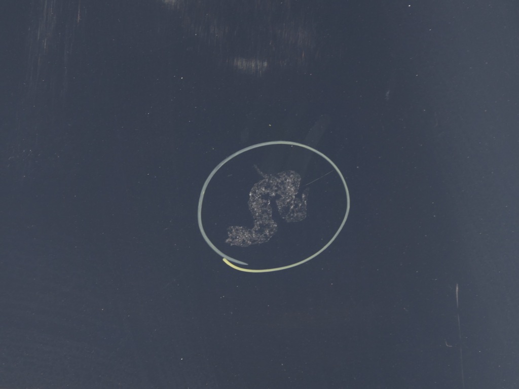 Капот крышка двигателя tegne renault megane 3 12-13r. 1 fl в Украине