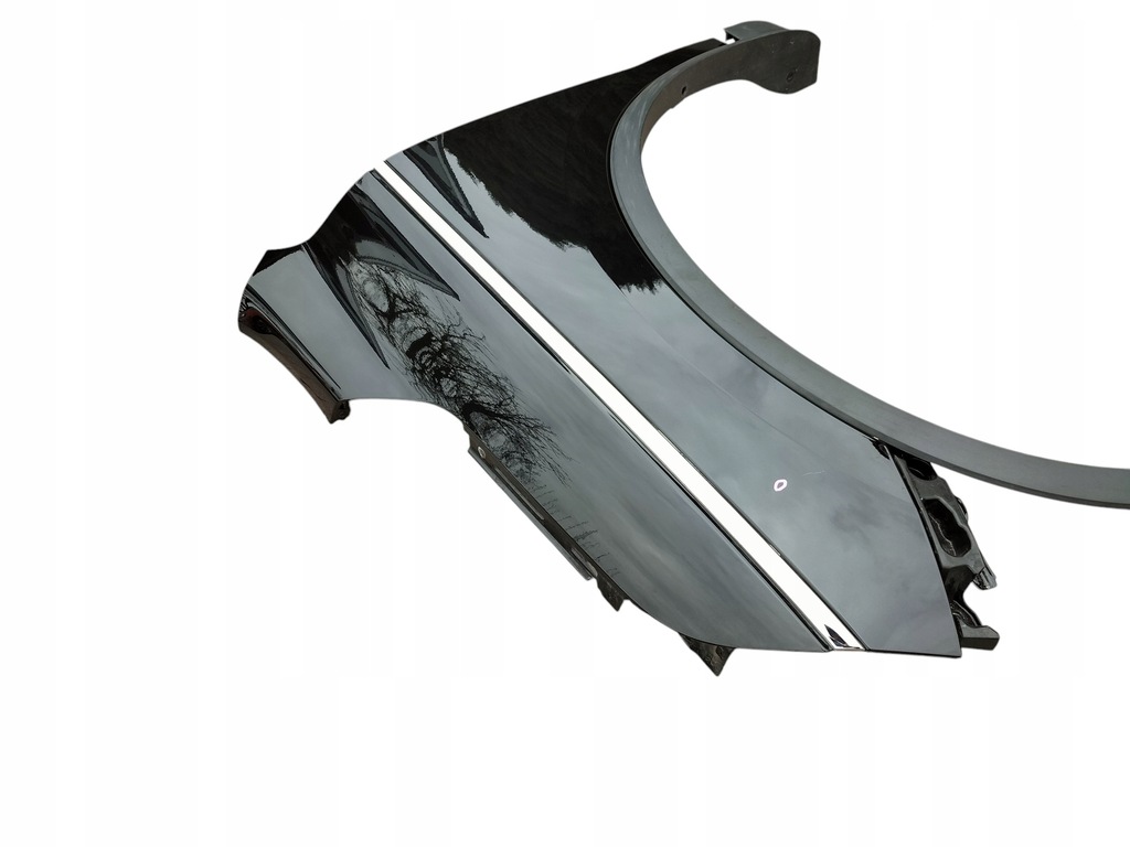 фото №8, Крила лівий перед renault koleos ii tegxa