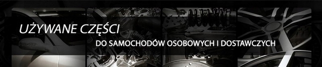 фото №2, Дверь левый задняя renault scenic rx4 00-03r