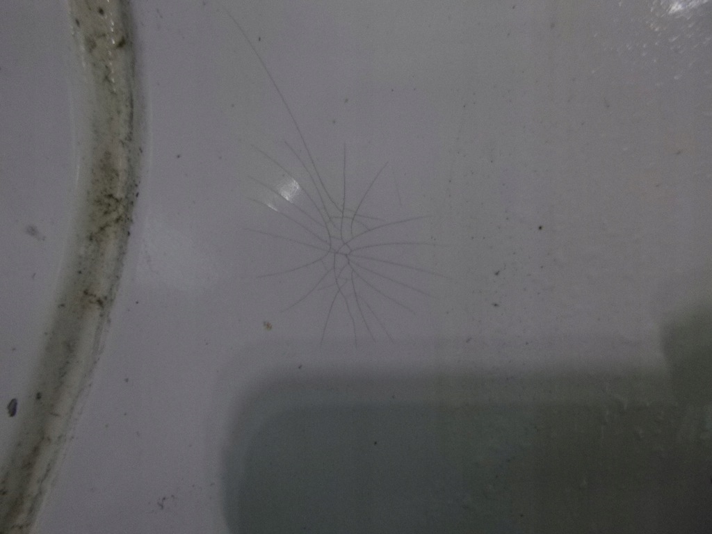 фото №6, Citreon c3 i 02-09 бампер задній kompletny задня ewp