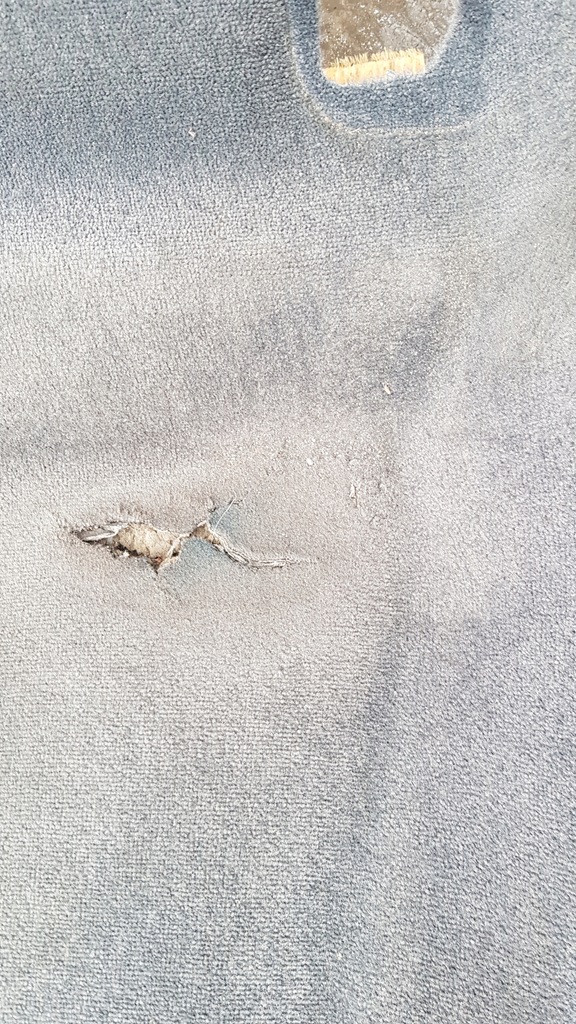 фото №12, Audi a8 d3 килимок обшивка перед лівий перед