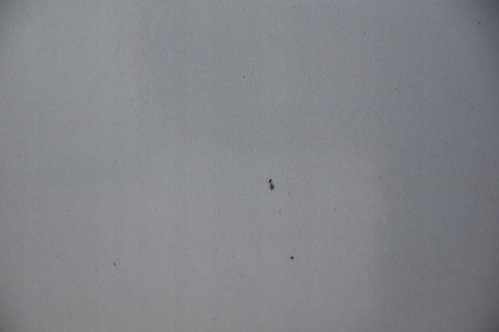 фото №9, Дверь передние перед правое honda cr-v iii b538m