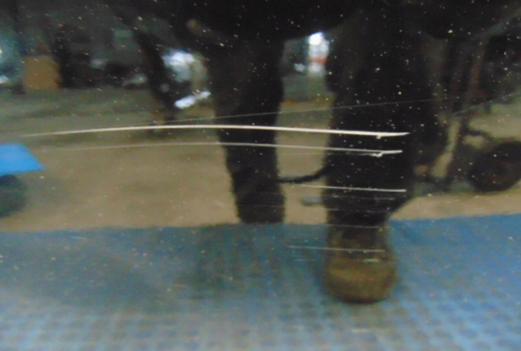 фото №6, Mazda rx-8 двері правий перед