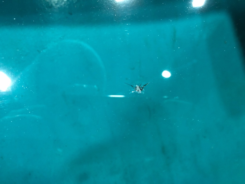 фото №4, Mercedes r172 slk стекло лобовое передняя датчик