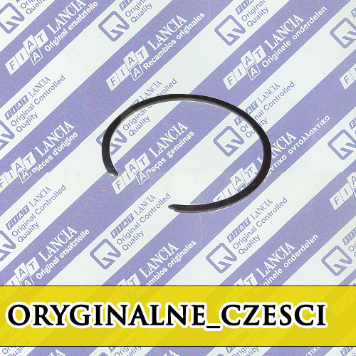 фото №1, Кільце захисний ступиця palio siena uno 5988269 org