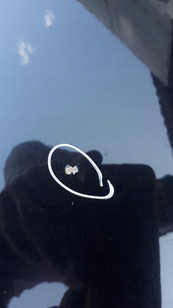 фото №7, A5 8t дверь правое правый перед передние coupe lz9y