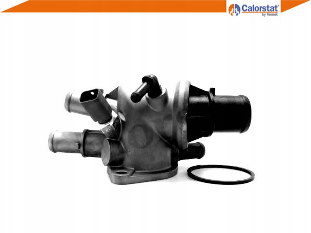 фото №2, Термостат [calorstat]