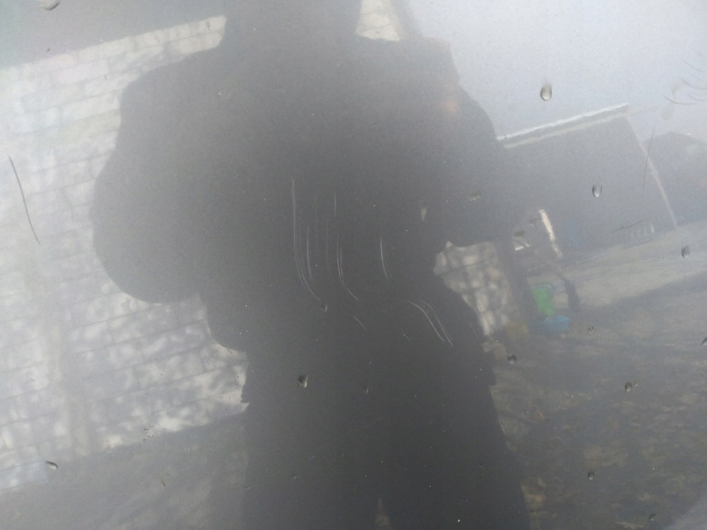 фото №4, Капот audi a6 c6 ly7g