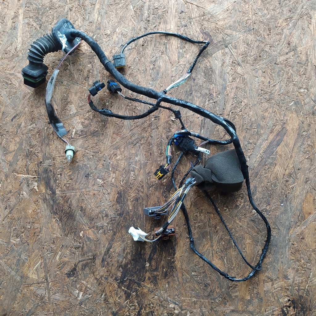 фото №1, Електропроводка джгут двері правий перед laguna ii