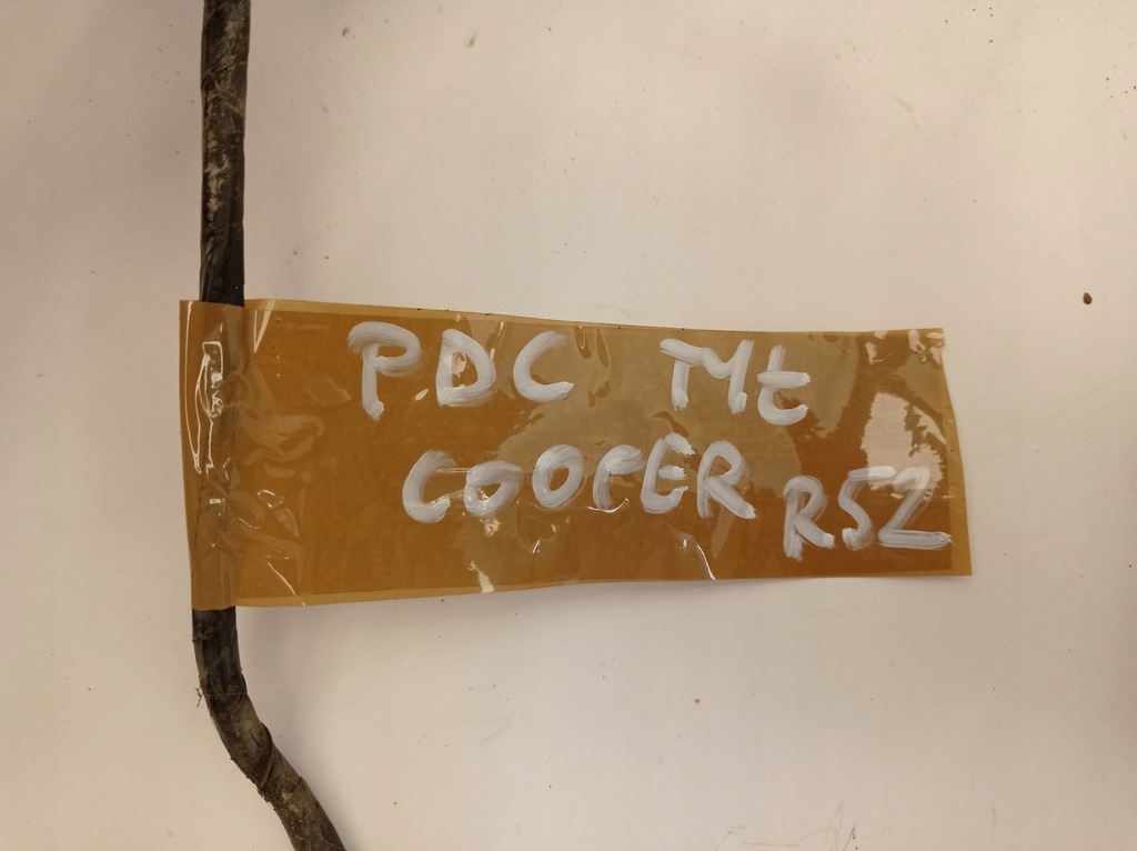 фото №3, Mini cooper r52 электропроводка датчиков pdc бампера задняя