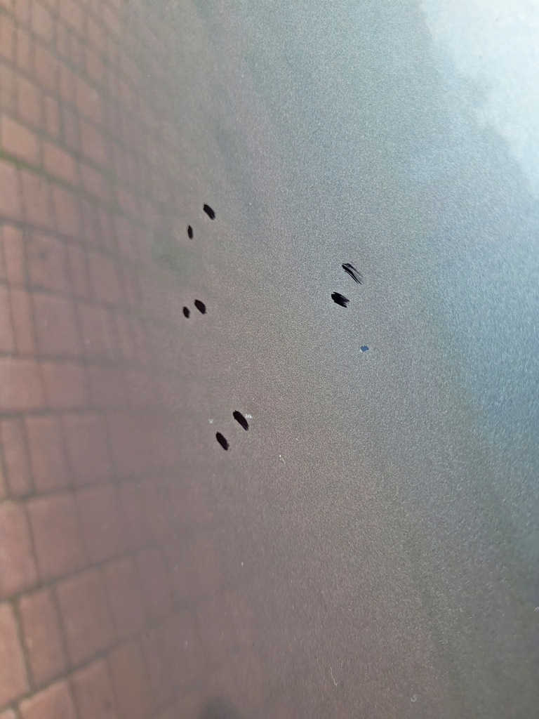 фото №7, Капот suzuki swift 2010-2017