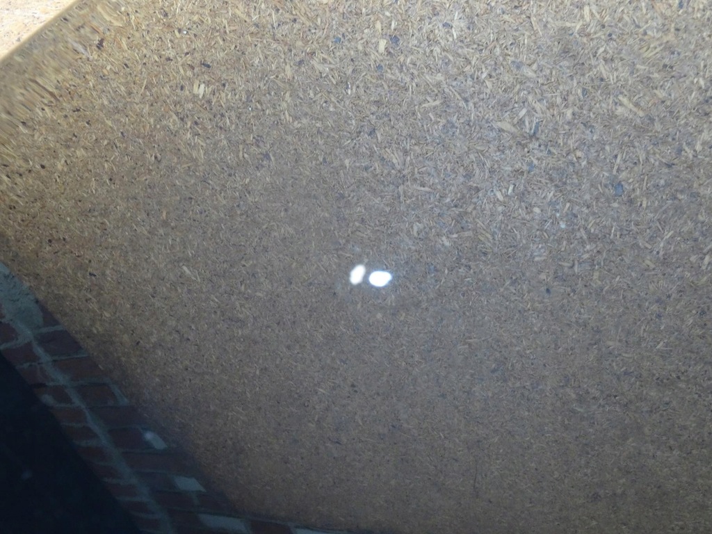 фото №10, Audi q3 8u 11-18 капот кришка двигуна oem оригінал 8u0823155a колір ly9b