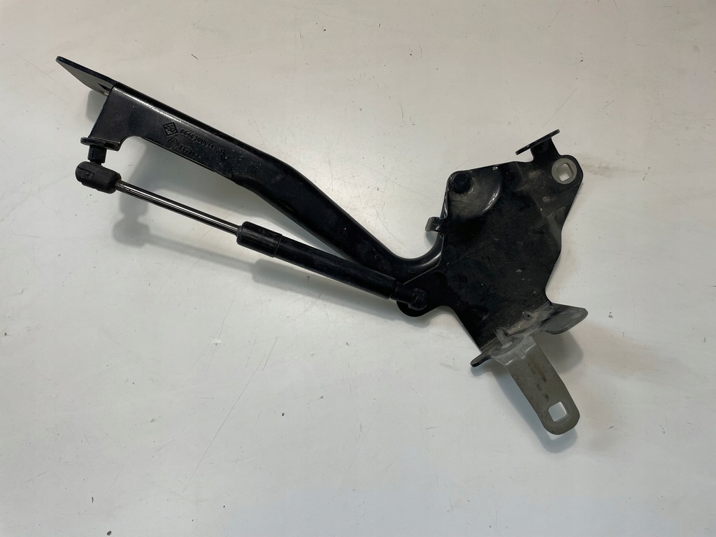 фото №1, Петля лівий renault scenic iii