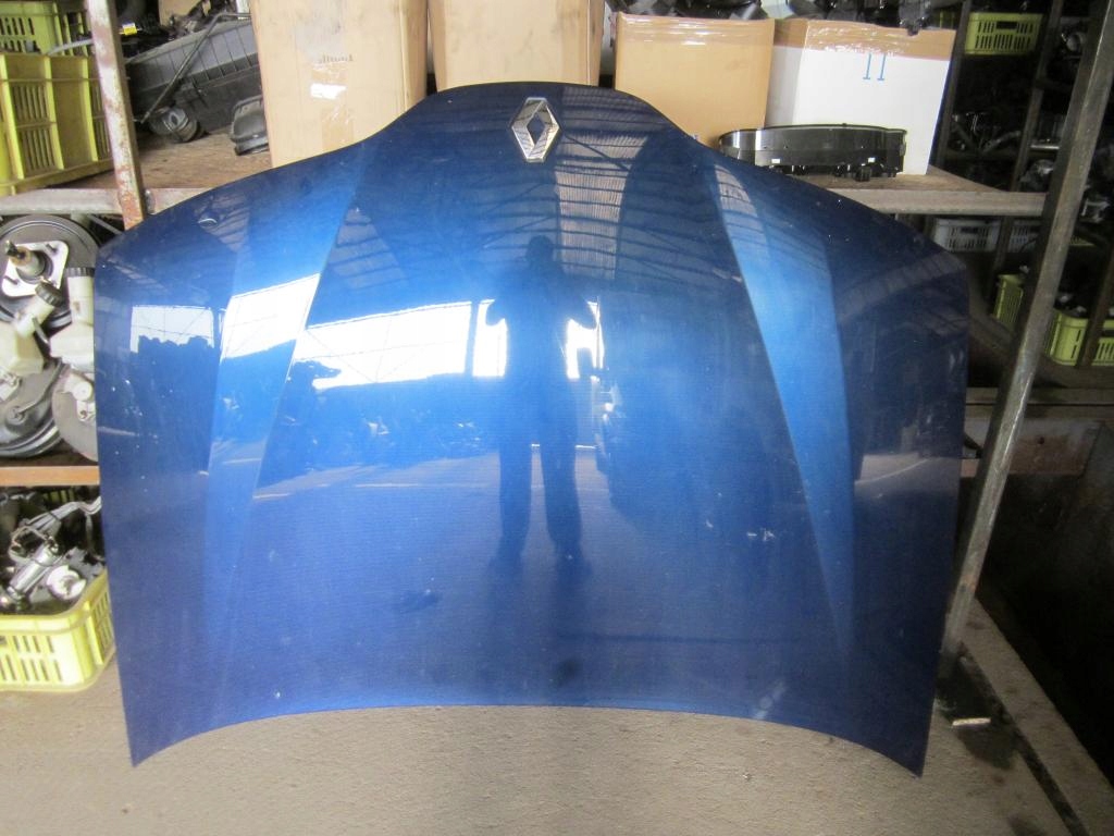 фото №1, Renault laguna ii капот ted44