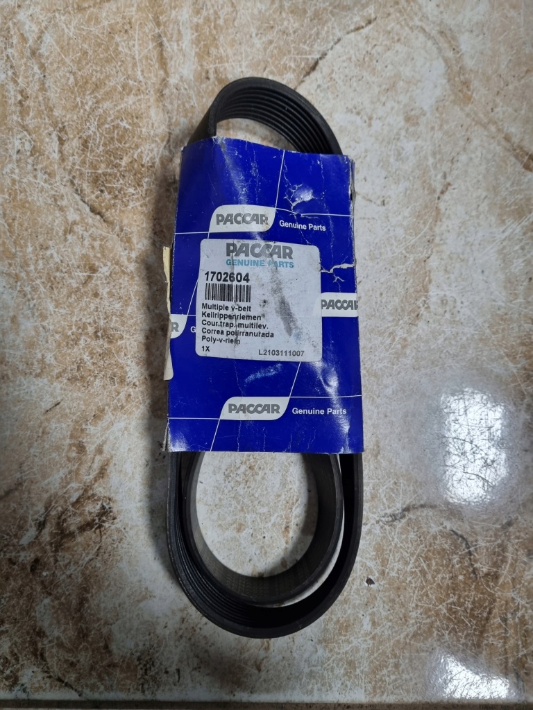 Купити Ремінь клиновий багатореберний daf xf 105 cf 1702604 новий