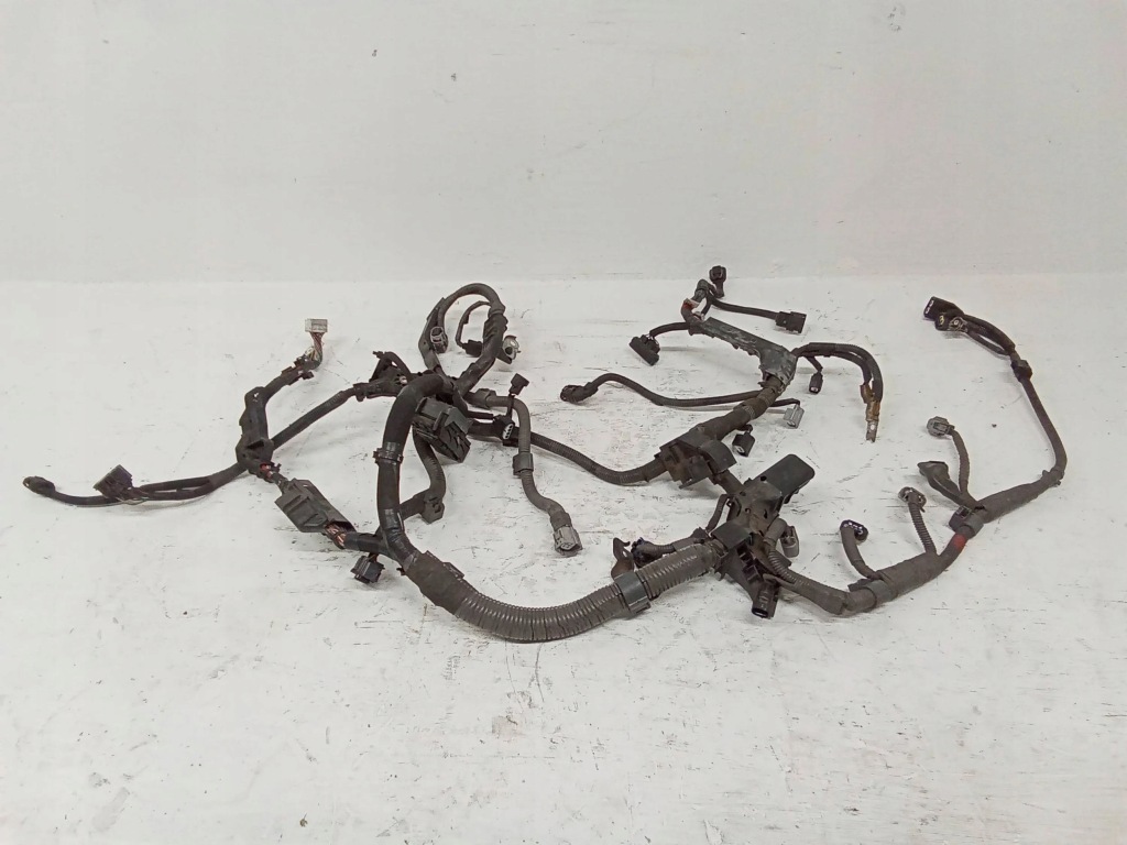 фото №1, Lexus ct 200h 2013 жгут трубопровод двигателя