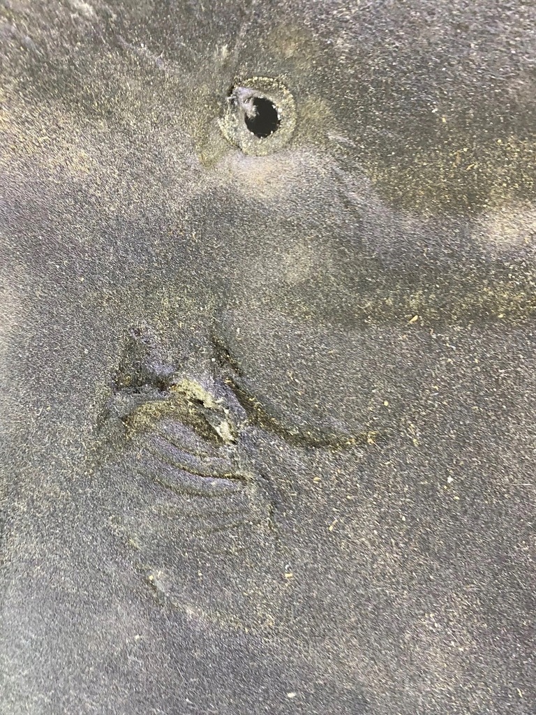 фото №15, Шумоизоляция капот подкрылок mercedes slk r170 + клипсы