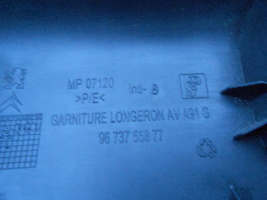 фото №4, Peugeot 2008 i захист поріг перед