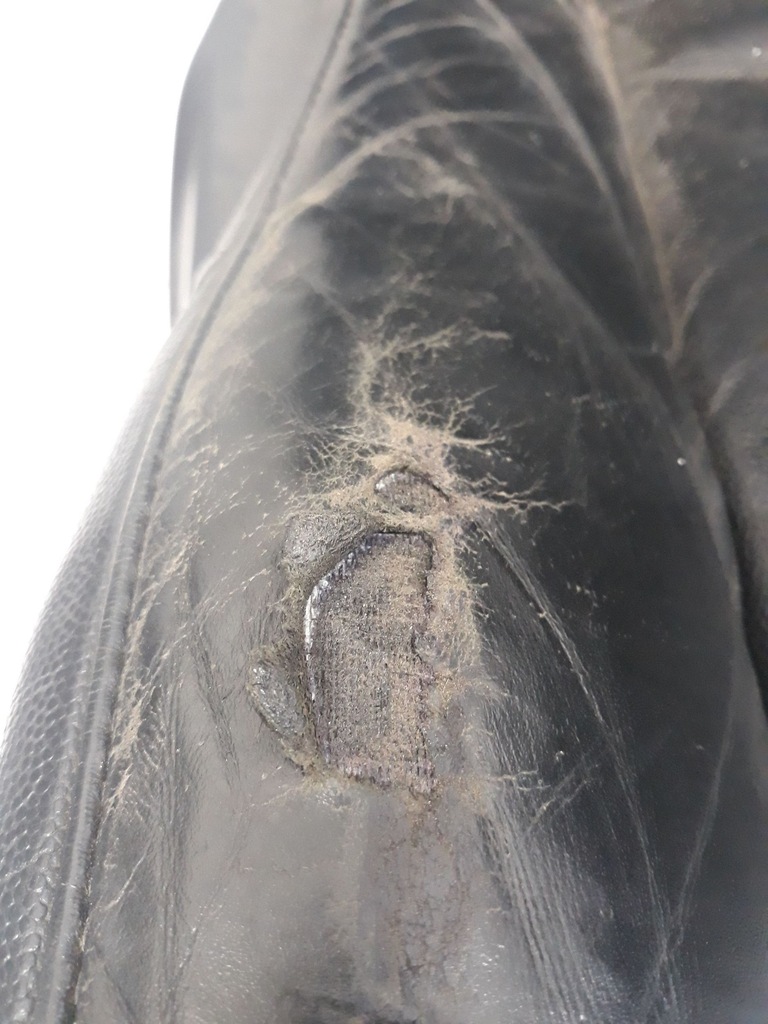 фото №11, 2006 bmw x5 e53 повний салон 712124905