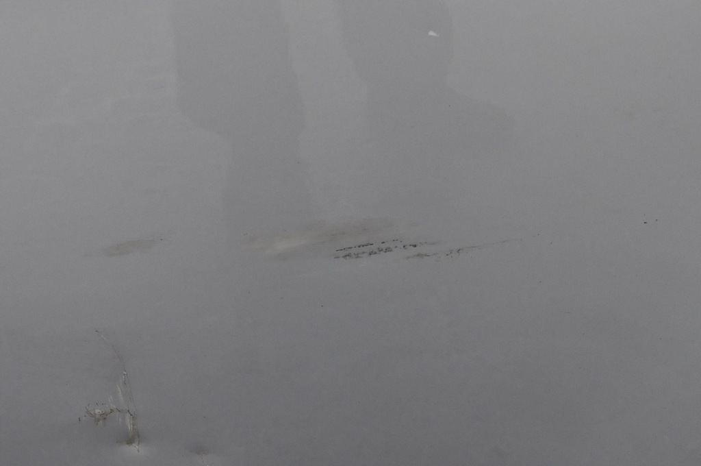 фото №6, Ford grand c-max ii дверь левый задняя задние