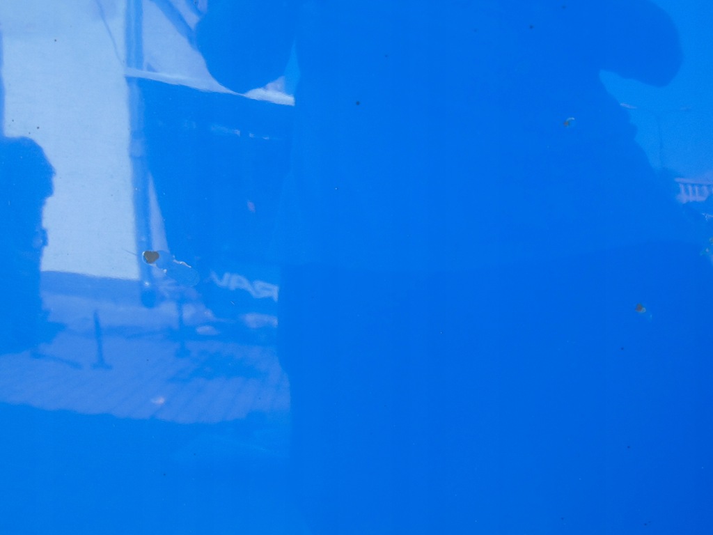 фото №11, Капот решётка радиатора петли skoda fabia 1 i europa