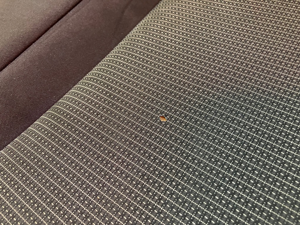 фото №11, Сидіння заднє сидіння комплект seat leon 3 iii 5f st kombi