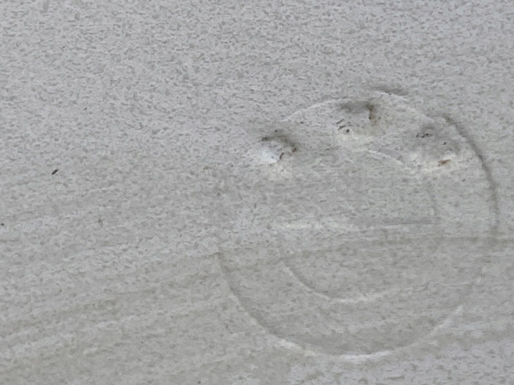 фото №6, Двері праве перед передні bmw 2 f46