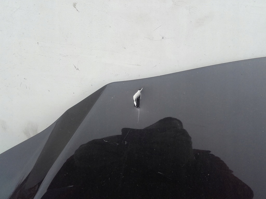 Капот крышка двигателя lexus rx 450 rx450h iv 4 Оригинал