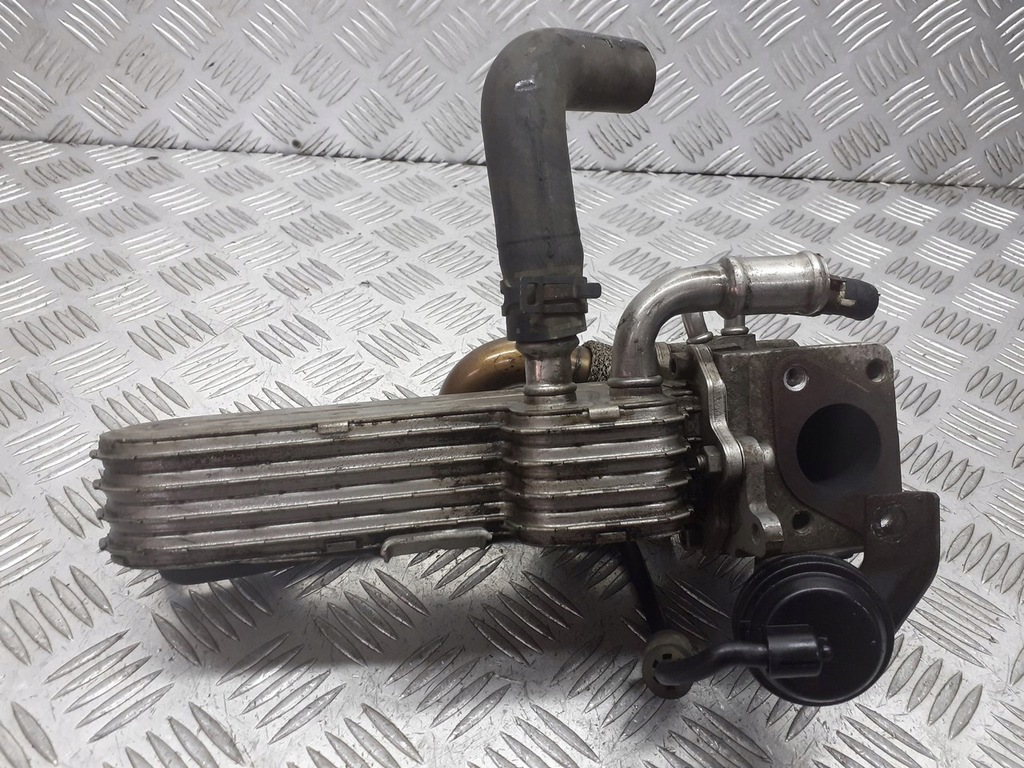 фото №1, Радиатор выхлопных газов seat leon ii 1.9 tdi 3210275