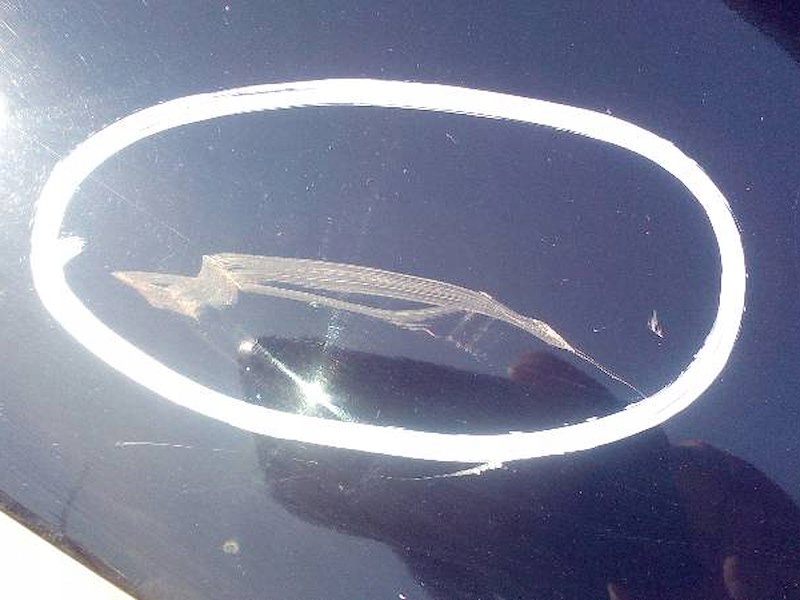 фото №8, Капот audi a3 8l