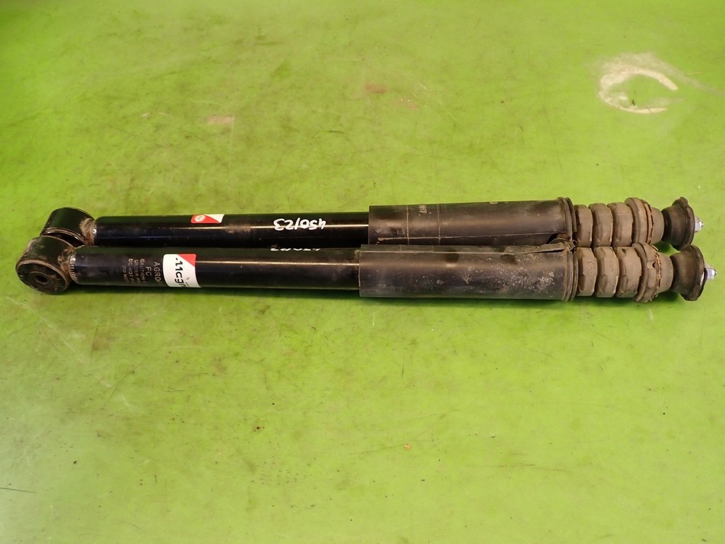 фото №1, Амортизаторы задние задняя renault clio ii hb 5d 03r