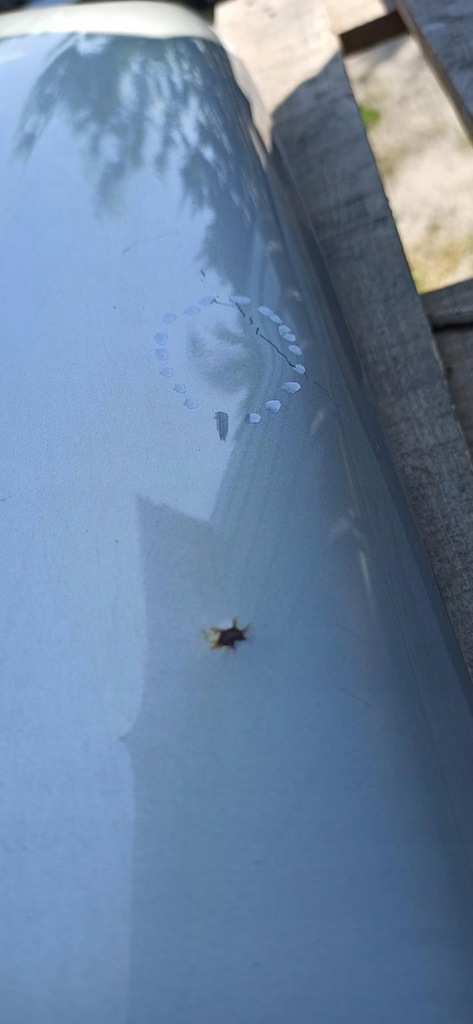 фото №10, Крыло левый перед chevrolet aveo t200 kalos 95u