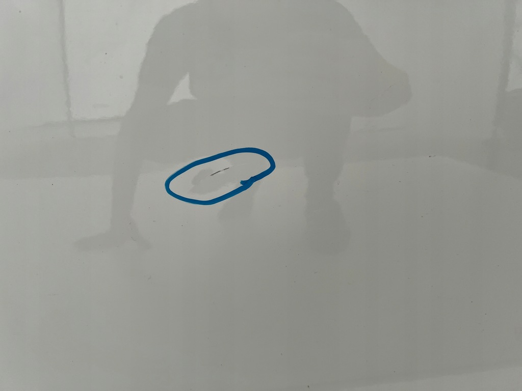 фото №8, Двері лівий перед передні dacia sandero iii 3