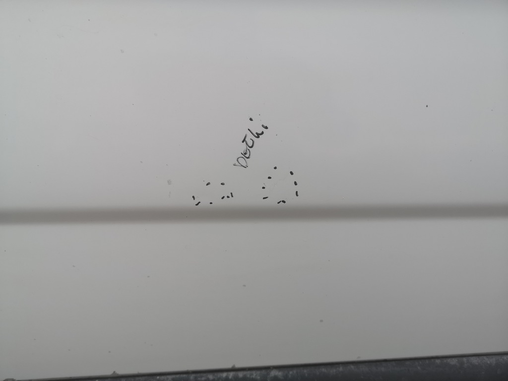 фото №8, Дверь сдвижные левая левый bok opel vivaro a renault trafic ii lift 06-14