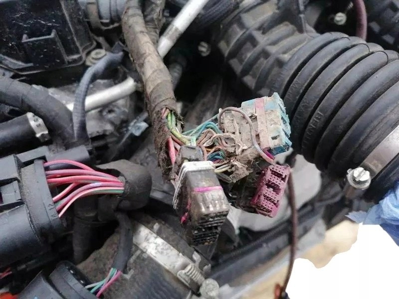 фото №9, Двигун dcua kompletny dcu cvd bentley continental gt 3s 4.0 2018-