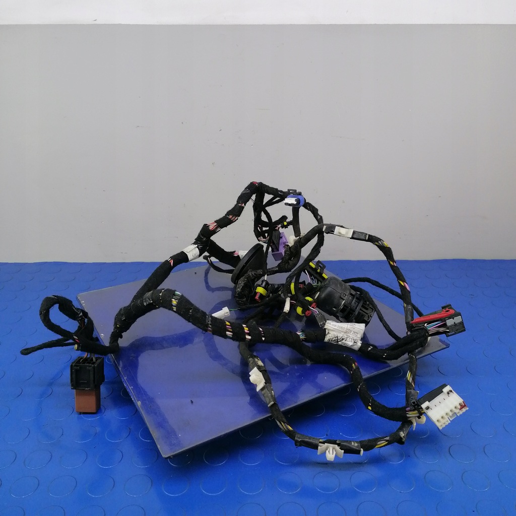 фото №1, Lancia thesis джгут двері передніх правих