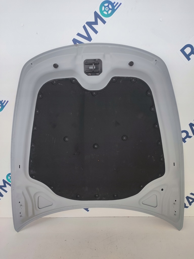 фото №9, Капот ferrari roma f169