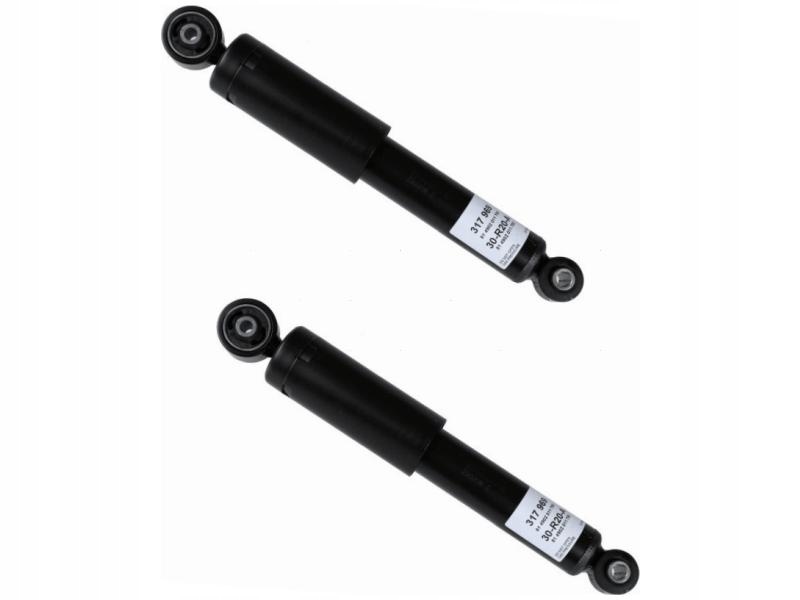 фото №1, Амортизатори задня sachs 317 969