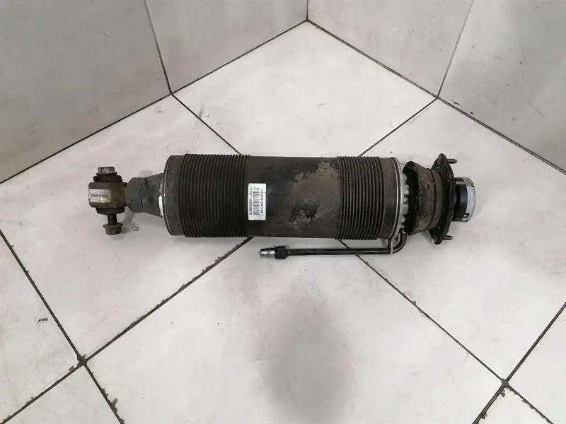 Амортизатор mercedes-benz задний  a2303203113 Киев