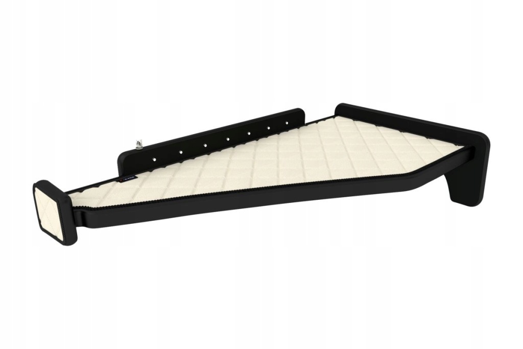 фото №1, Полка салонная панель f-core ft10 champ